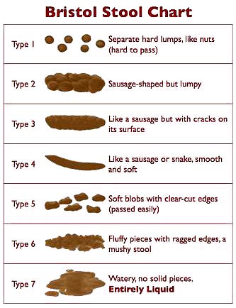 Bristol Stool Form Chart Deciphered