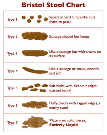 Bristal Stool Chart