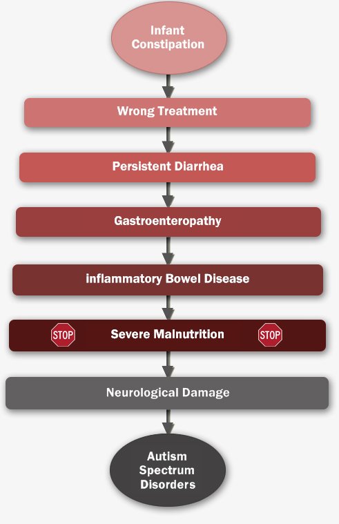 Autism Flowchart