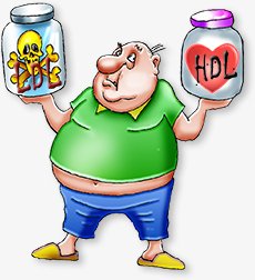 Cholesterol reduction hoax