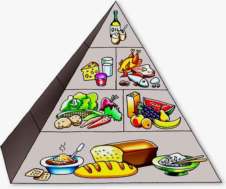 USDA Pyramid Food Guide