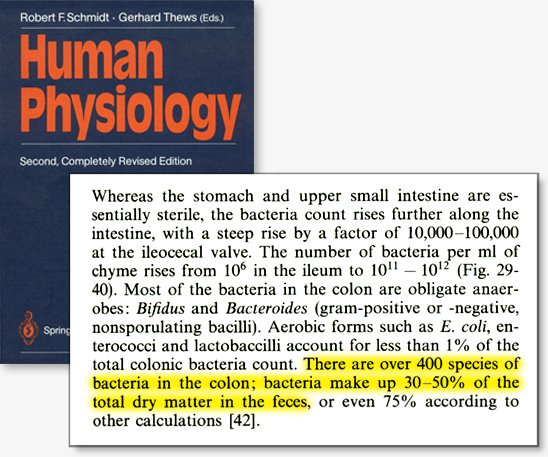 Whereas the stomach and upper small intestine are essentially sterile, the bacteria count rises further along the intestine, with a steep rice by a factor of 10,000-100,00 at the ileocecal valve. The number of bacteria per ml of chyme rises from 10^6 in the ileum to 10^11 -12^12 (Fig. 29-40). Most of the bacteria in the colon are obligate anaerobes: Bifidus and Bacteriocide (gram-positive or –negative nonsporulating bacilli). Aerobic forms such as E. coli, enterococci and lactobaccilli account for less than 1% of the total bacteria count. There are over 400 species of bacteria in the colon; bacteria make up 30-50% of the total dry matter in the feces, or even 75% according to other calculations [42].”