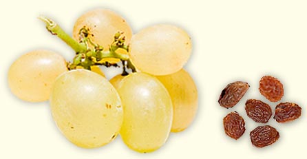 Dry Grapes